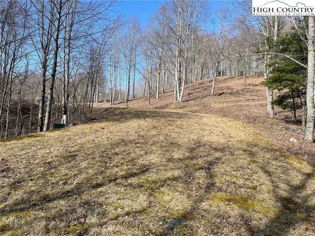 6 Jackson Ridge Road Boone, NC 28607 - Photo 1 of 23