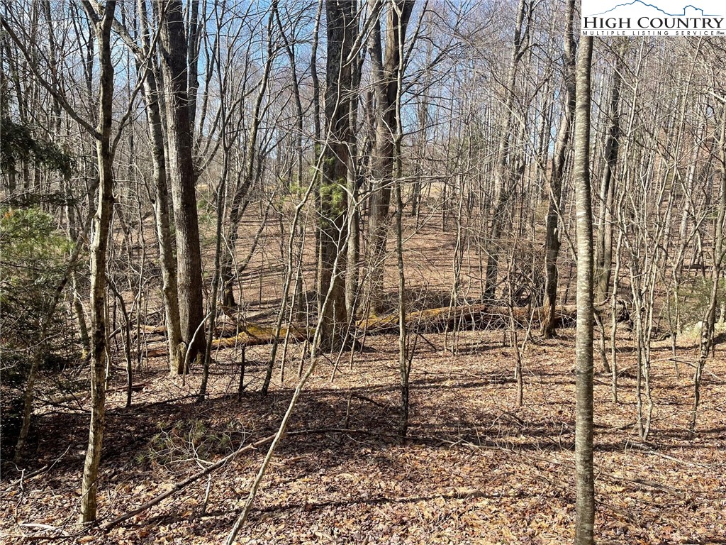 6 Jackson Ridge Road Boone, NC 28607 - Photo 11 of 23