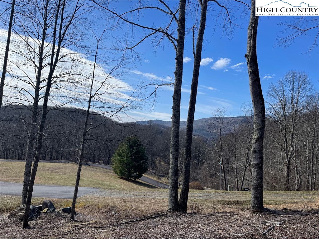 6 Jackson Ridge Road Boone, NC 28607 - Photo 13 of 23