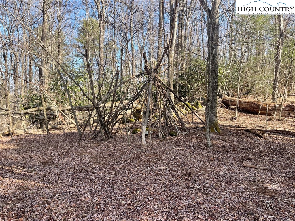 6 Jackson Ridge Road Boone, NC 28607 - Photo 14 of 23