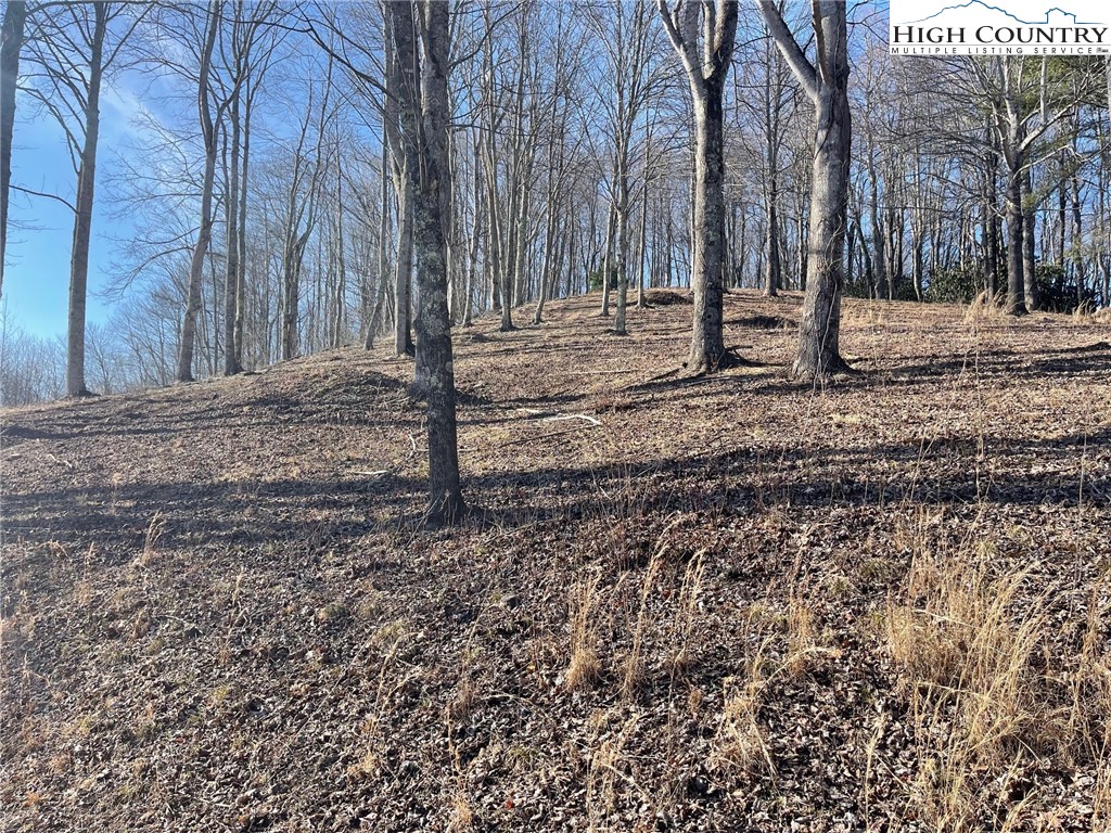 6 Jackson Ridge Road Boone, NC 28607 - Photo 16 of 23