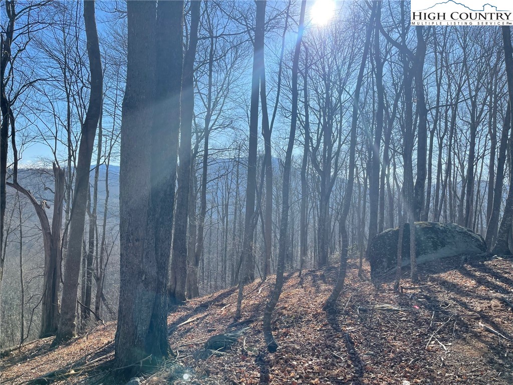 6 Jackson Ridge Road Boone, NC 28607 - Photo 17 of 23