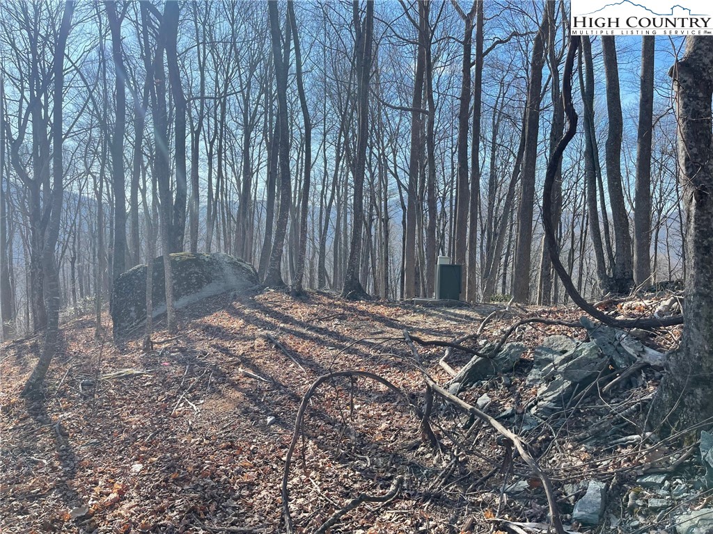 6 Jackson Ridge Road Boone, NC 28607 - Photo 18 of 23