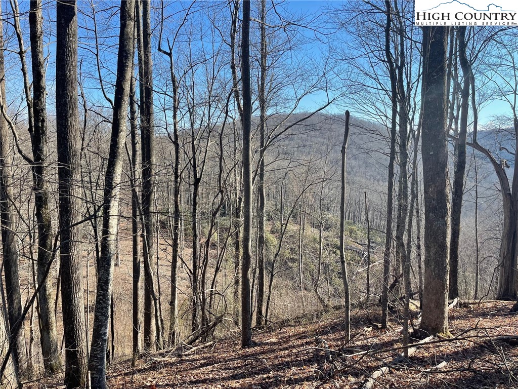 6 Jackson Ridge Road Boone, NC 28607 - Photo 19 of 23