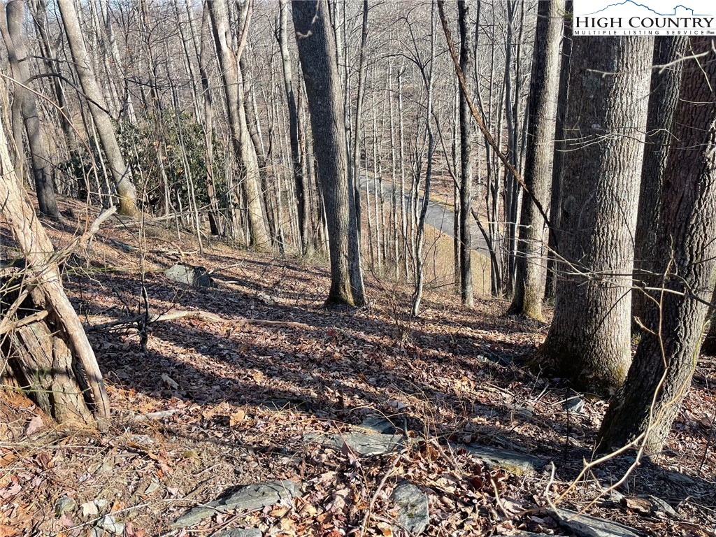 6 Jackson Ridge Road Boone, NC 28607 - Photo 20 of 23