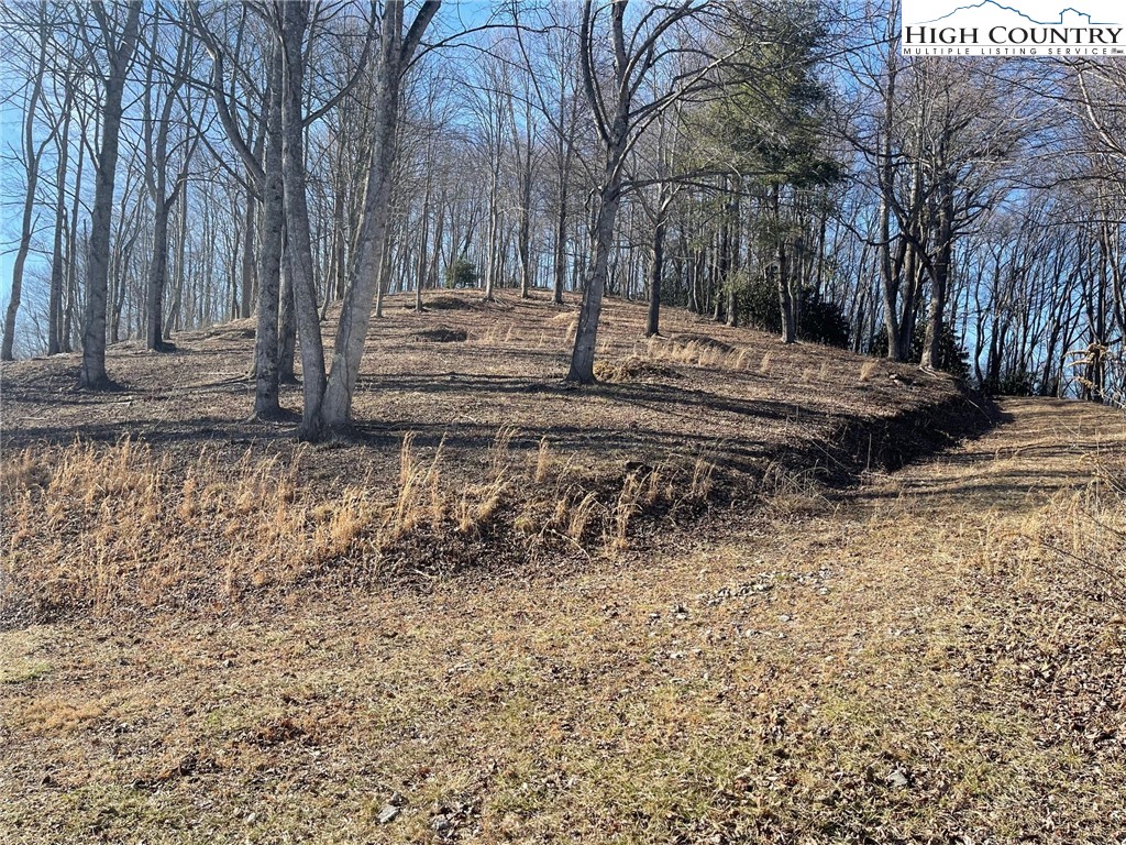 6 Jackson Ridge Road Boone, NC 28607 - Photo 21 of 23