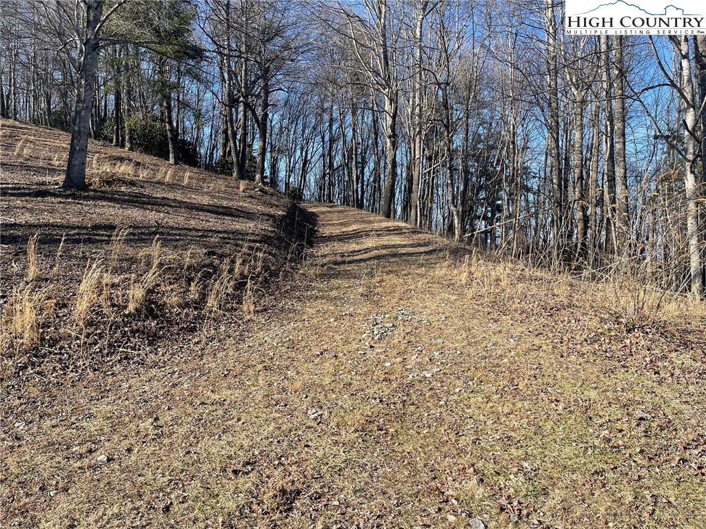 6 Jackson Ridge Road Boone, NC 28607 - Photo 22 of 23