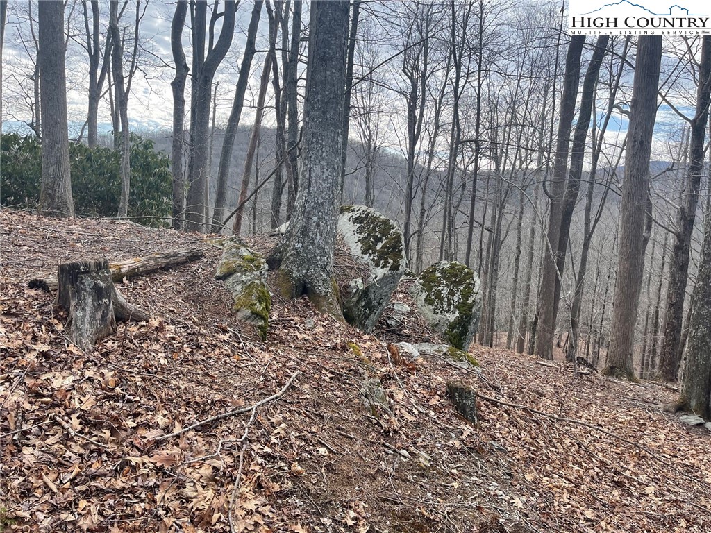 6 Jackson Ridge Road Boone, NC 28607 - Photo 7 of 23