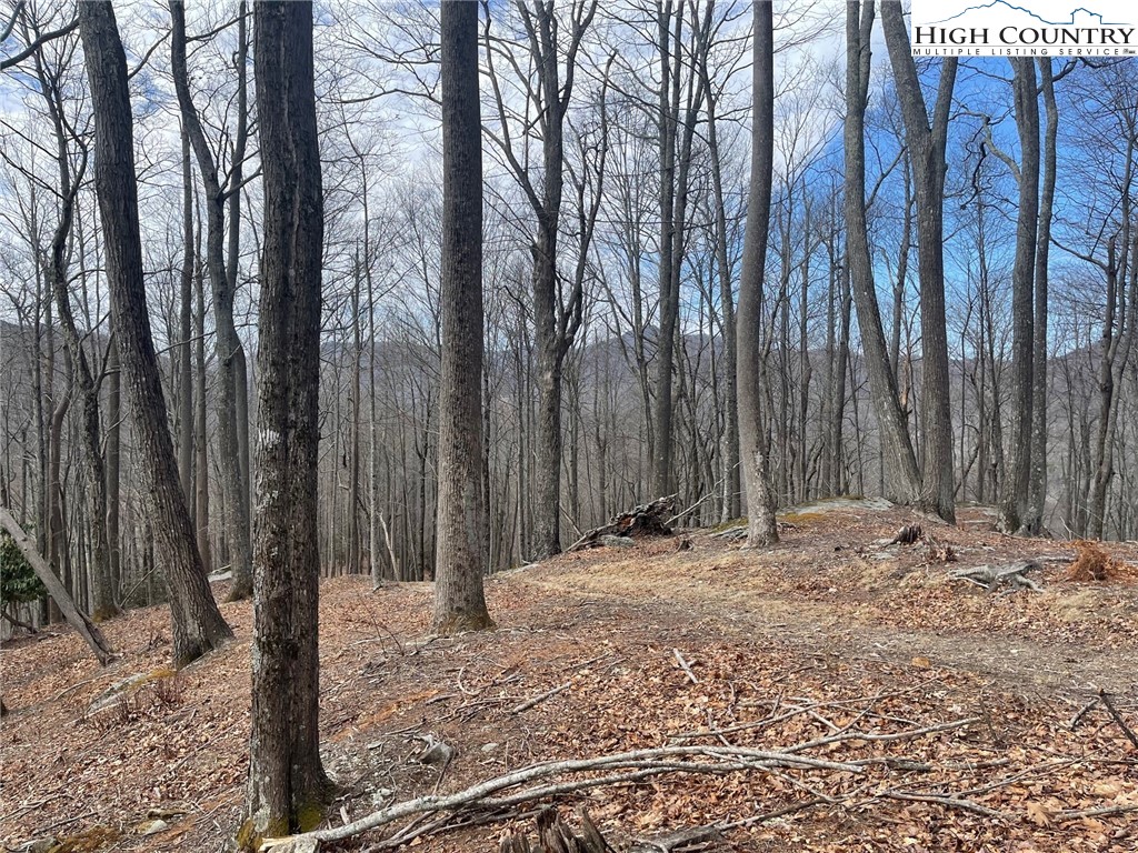 6 Jackson Ridge Road Boone, NC 28607 - Photo 8 of 23