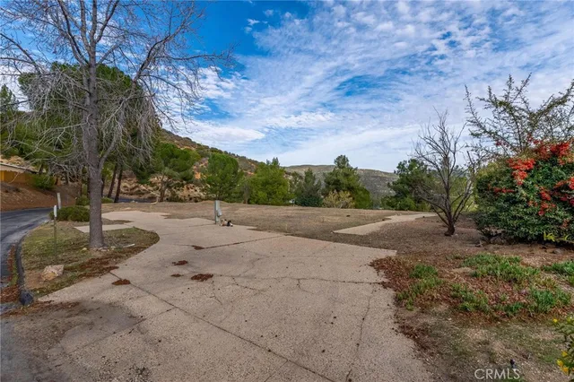 a view of a yard with a tree