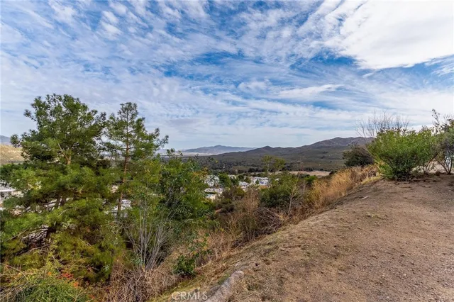 a view of a dry yard with green space