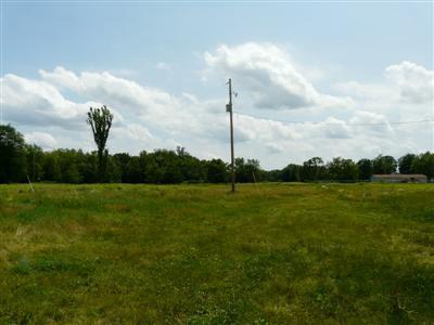 South R Drive Burlington, MI 49029 - Photo 1 of 1 Primary Photo