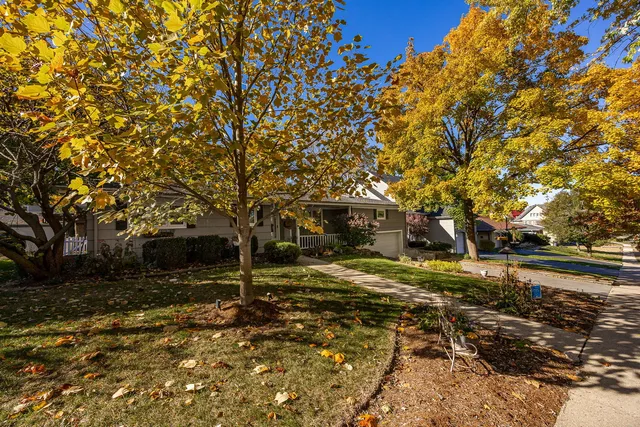 a view of a yard with trees
