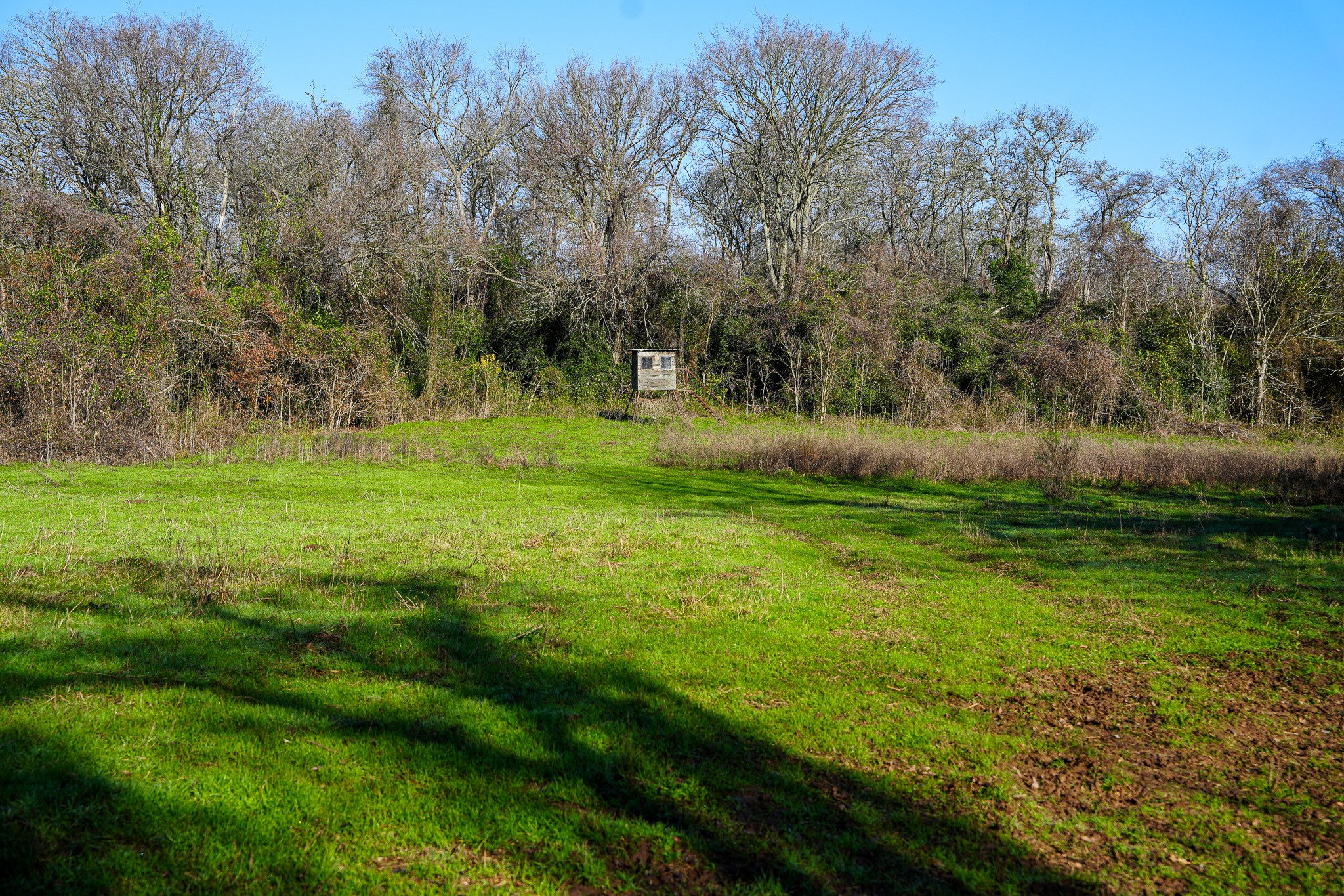 0 River Road College Station, TX 77845 - Photo 11 of 20 a view of a grassy field