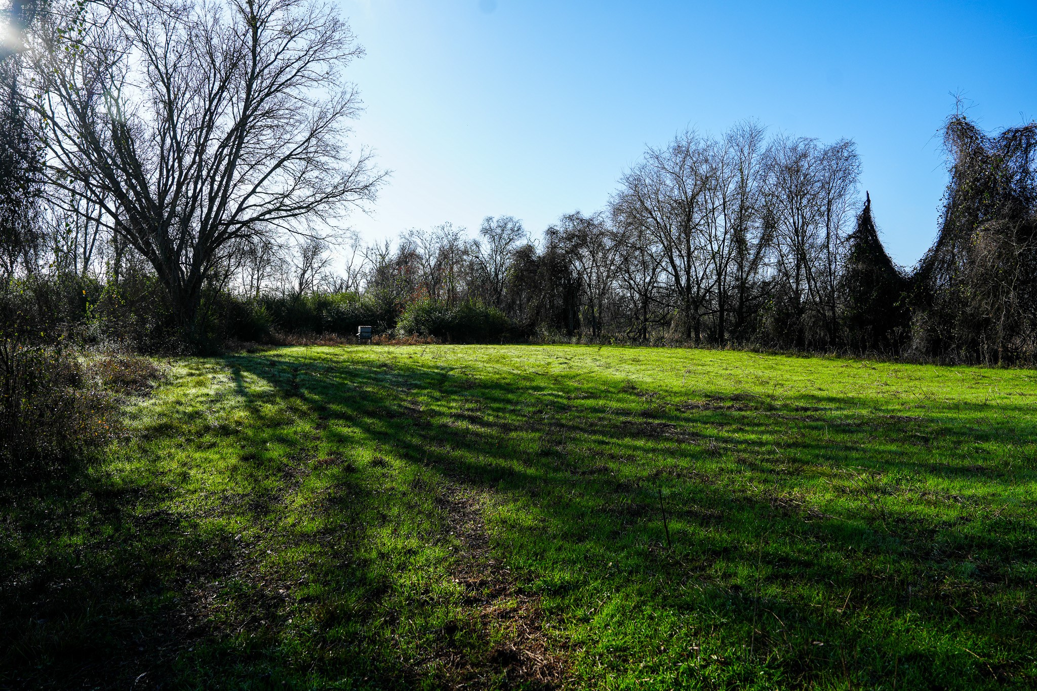 0 River Road College Station, TX 77845 - Photo 12 of 20 a view of a grassy field with trees