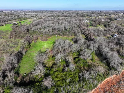 a view of a lush green forest with lots of trees