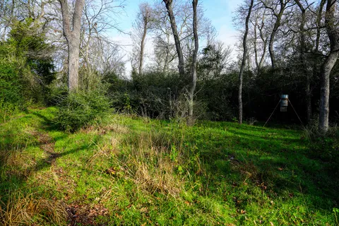 a view of a outdoor space