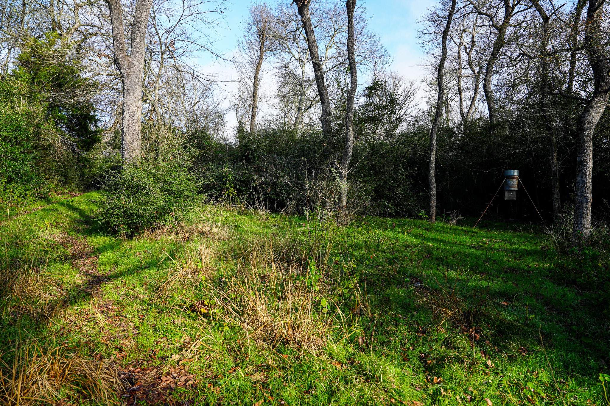 0 River Road College Station, TX 77845 - Photo 8 of 20 a view of backyard with green space