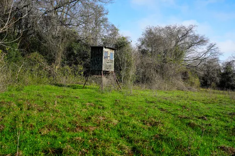 a view of a grassy field with trees in the background
