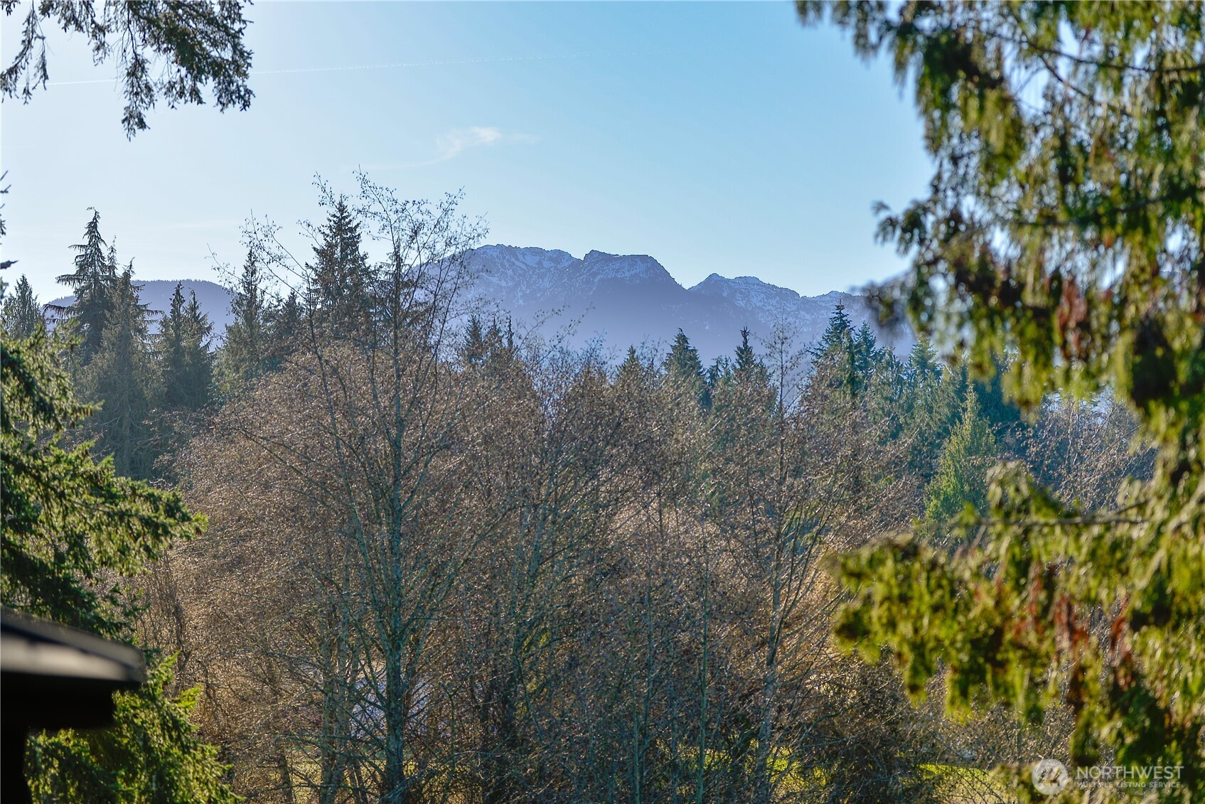 323 Hulse Road Port Angeles, WA 98362 - Photo 4 of 40