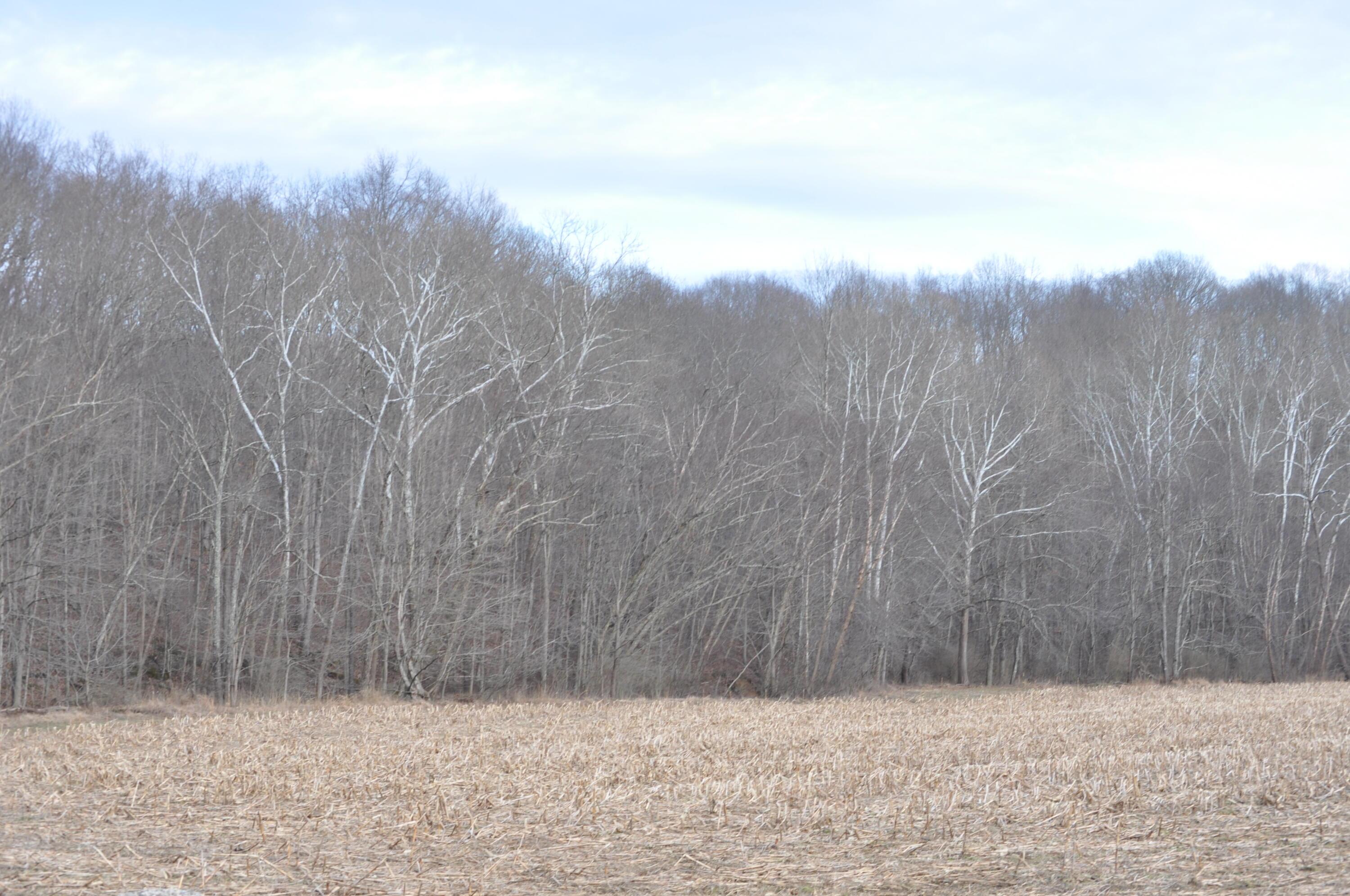 22808 Griffith Road Logan, OH 43138 - Photo 3 of 28 DSC_0249