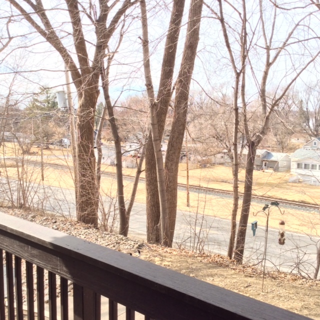 23 Cherry Hill, Unit 124 Hampton, IL 61256 - Photo 24 of 25