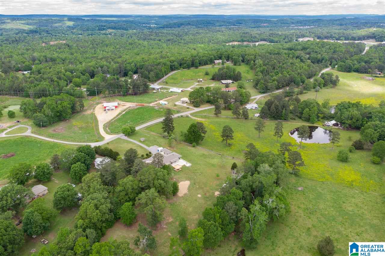 7770 Dry Creek Road Pell City, AL 35128 - Photo 48 of 49