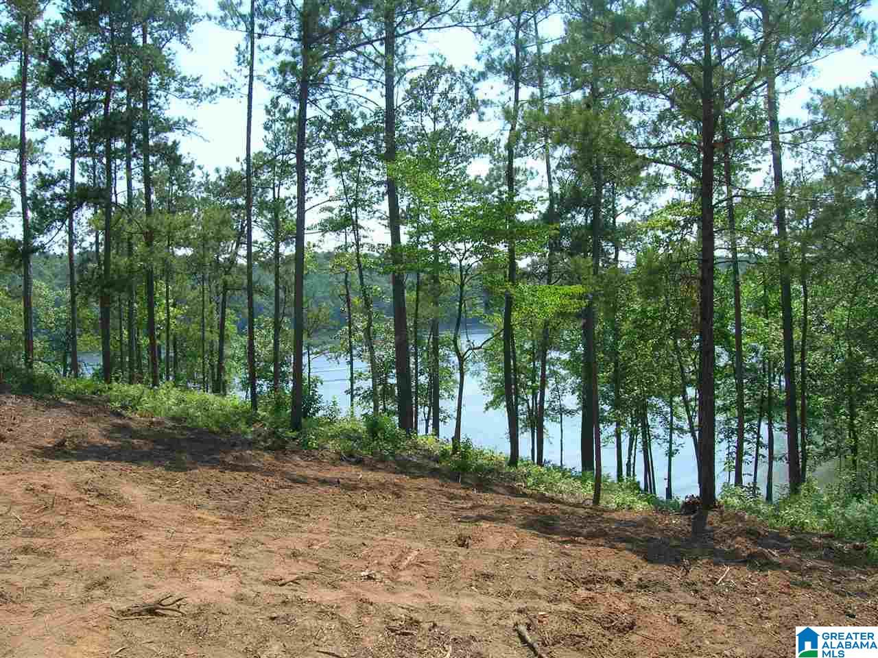 Stillwaters Trail Sylacauga, AL 35151 - Photo 19 of 30