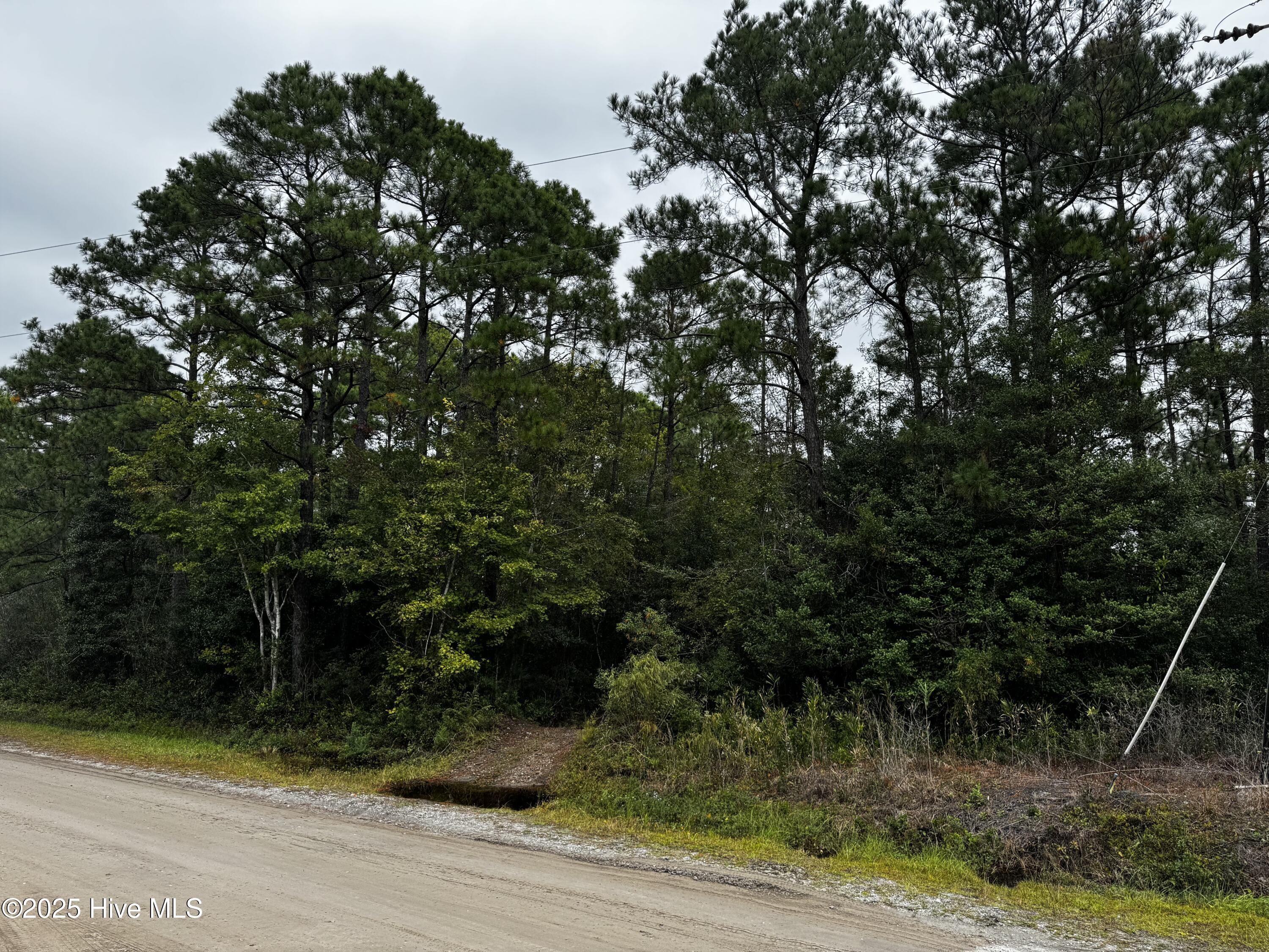 498 Redwood Road Southport, NC 28461 - Photo 2 of 7 IMG_6480 (1)