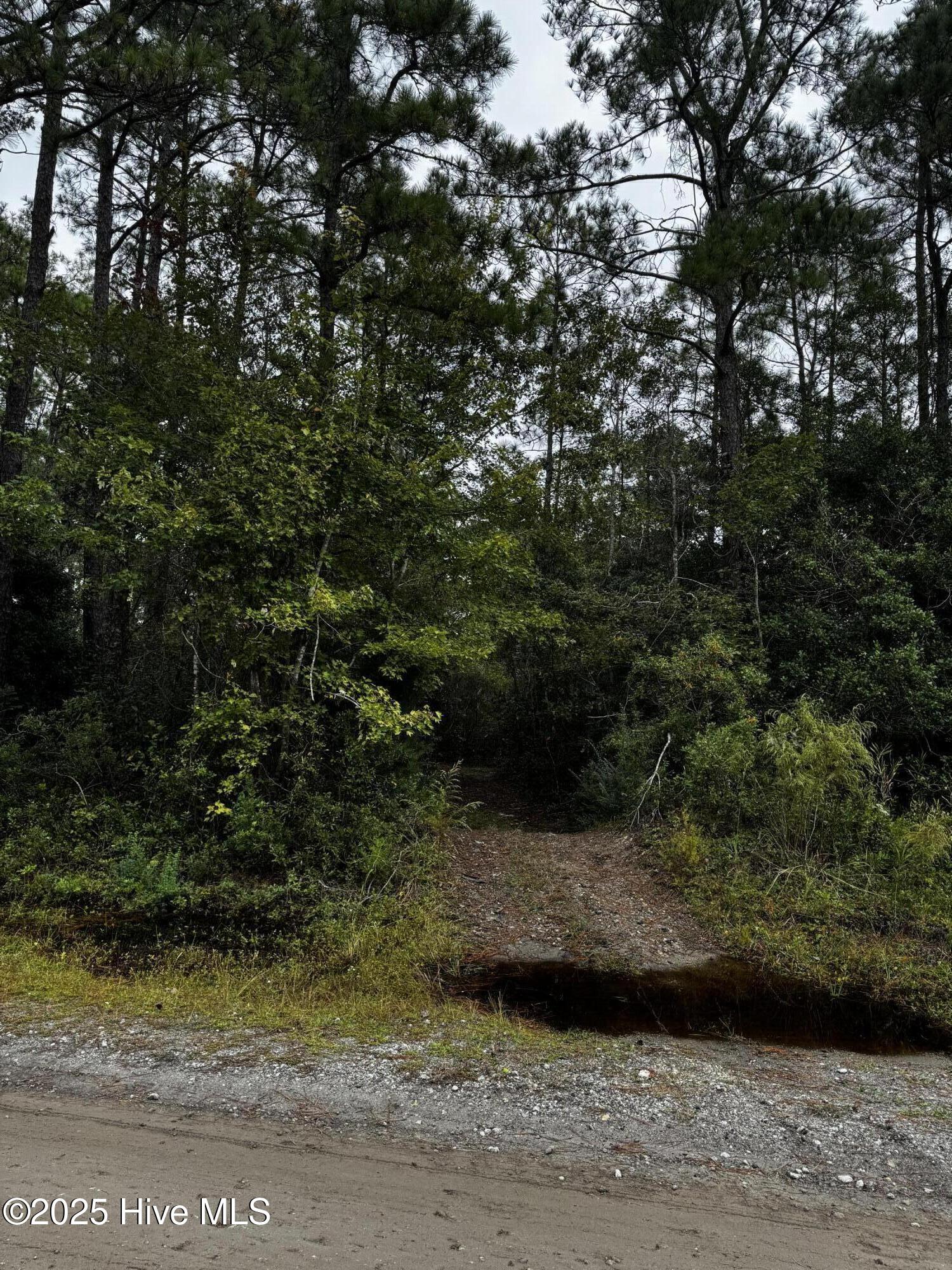 498 Redwood Road Southport, NC 28461 - Photo 4 of 7 IMG_6481