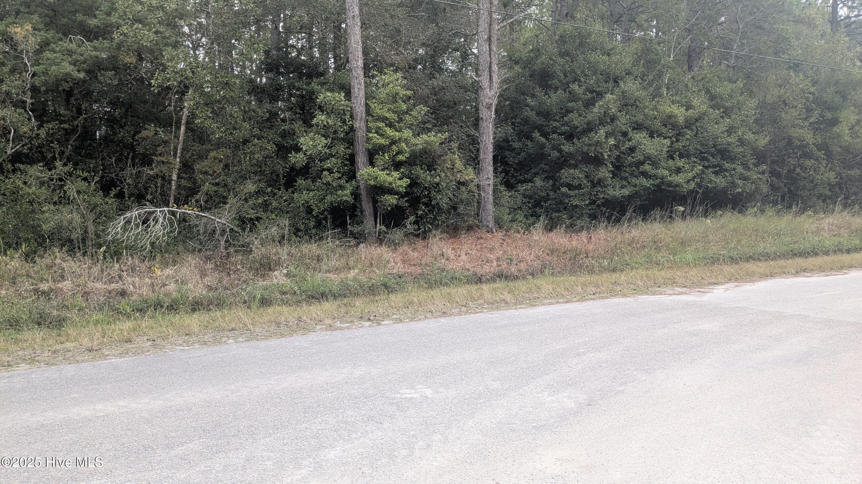 498 Redwood Road Southport, NC 28461 - Photo 7 of 7 PXL_20251015_162502956