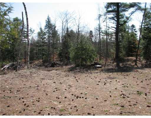 Lot#3 Pattee Pond Road Winslow, ME 04901 - Photo 10 of 11 Land/Lot.