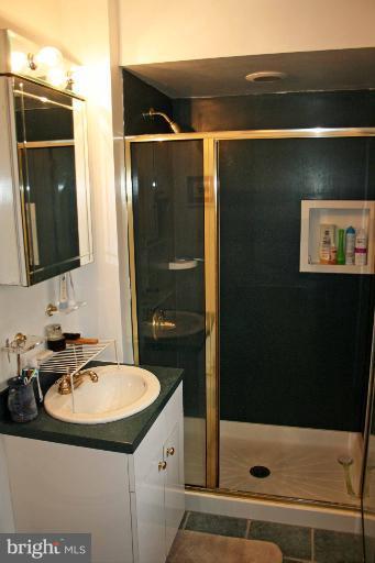1114 West Joppa Road Towson, MD 21204 - Photo 4 of 22 Bath (Master)