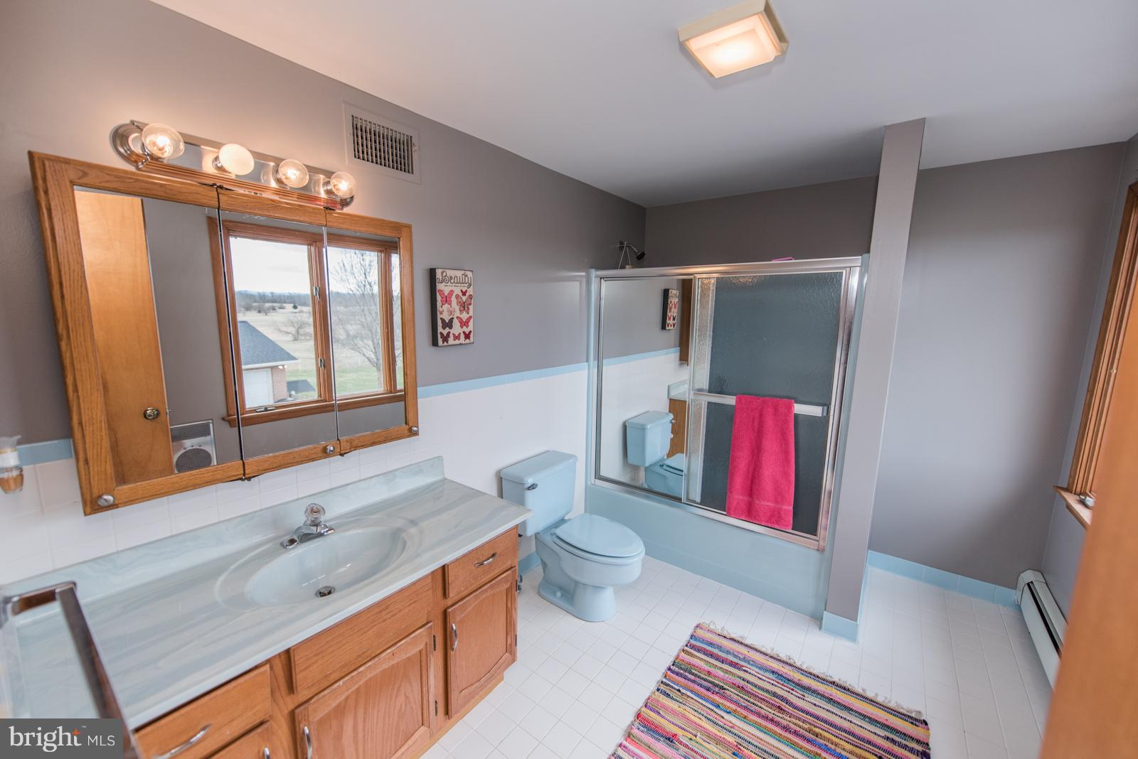 4361 Senseny Road Berryville, VA 22611 - Photo 14 of 30 2nd floor Master Bath