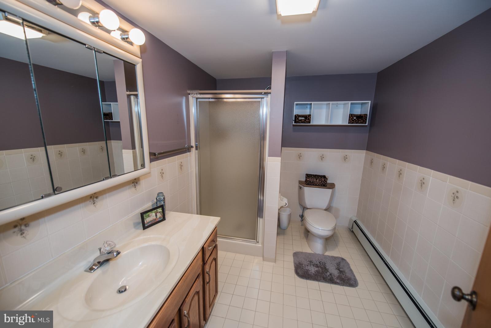 4361 Senseny Road Berryville, VA 22611 - Photo 19 of 30 Basement Bath