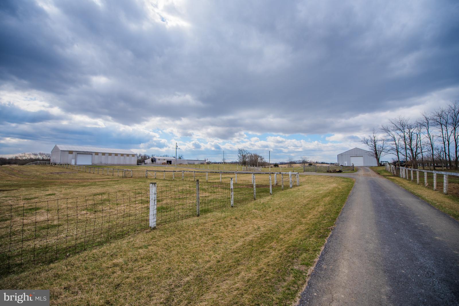4361 Senseny Road Berryville, VA 22611 - Photo 24 of 30 Driveway to Barns