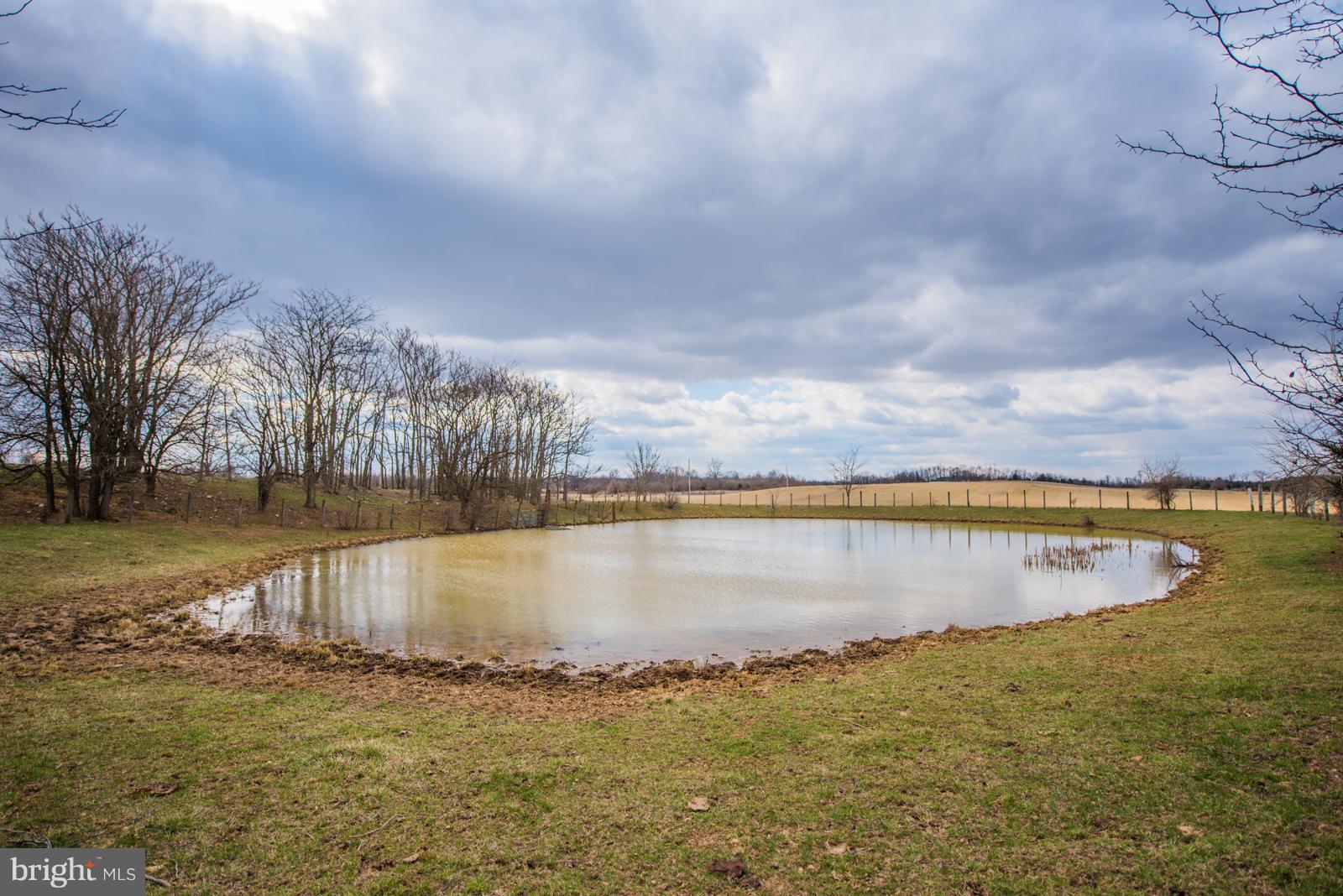 4361 Senseny Road Berryville, VA 22611 - Photo 29 of 30 Pond