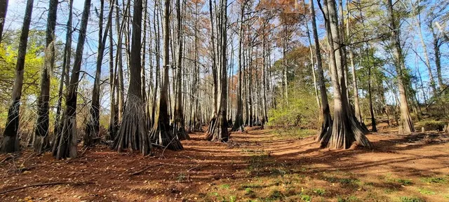 a view of outdoor space with street view