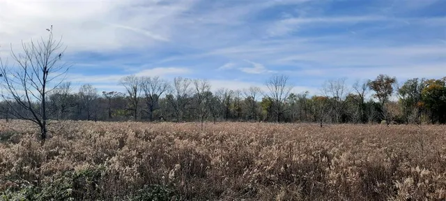 a view of a field with trees