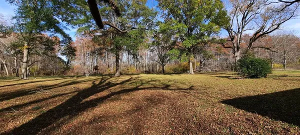 a view of dirt yard
