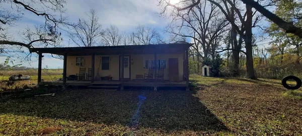 a view of a yard with a tree