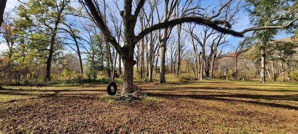 a view of backyard with green space