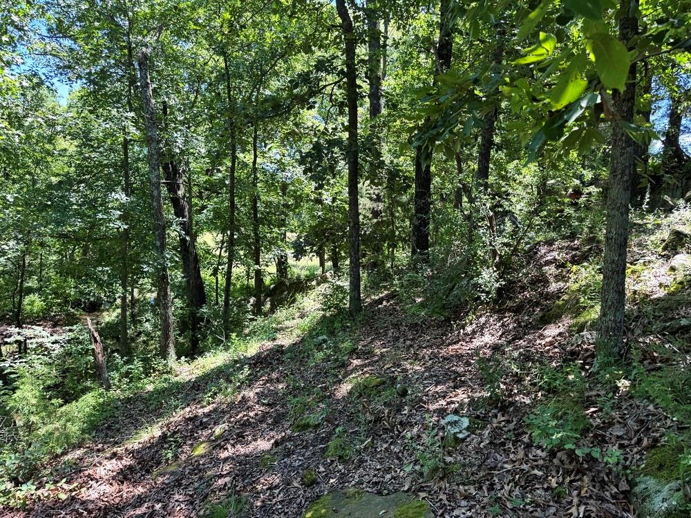 Tbd South 363 Road El Dorado Springs, MO 64744 - Photo 37 of 46
