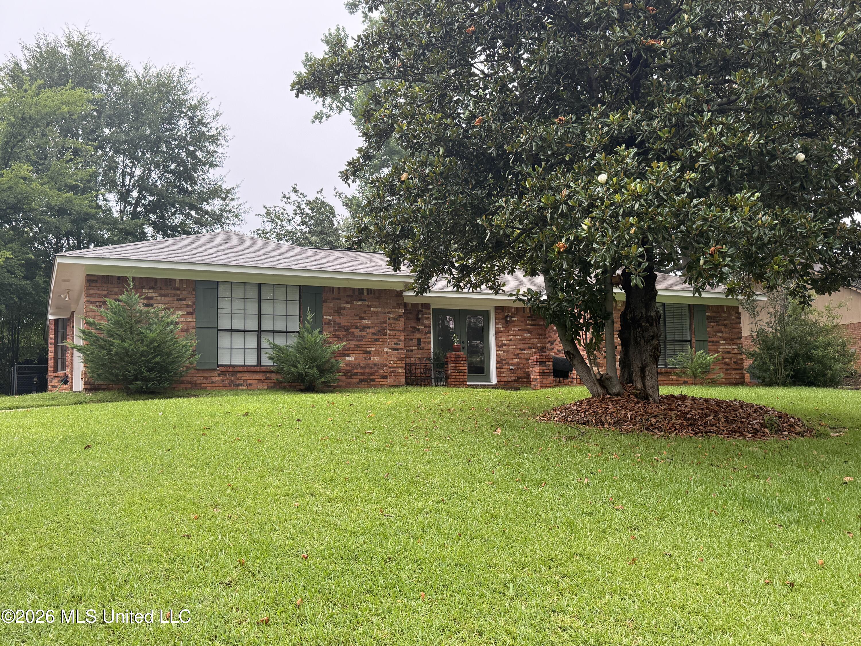 9 Treeway Drive Brandon, MS 39042 - Photo 5 of 32 IMG_2809