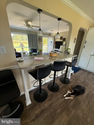 a room with lots of potted plants and a table