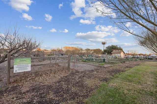 a view of a dry yard with trees and stairs