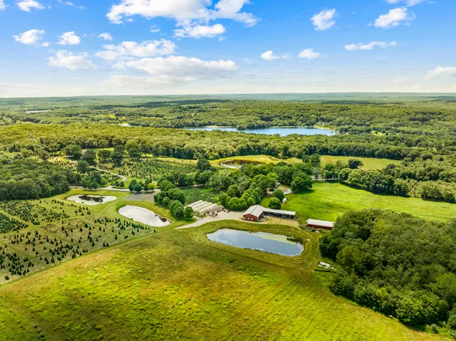 an aerial view of residential houses with outdoor space and trees