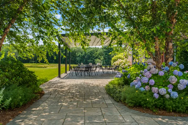 a view of a patio with plants and large trees