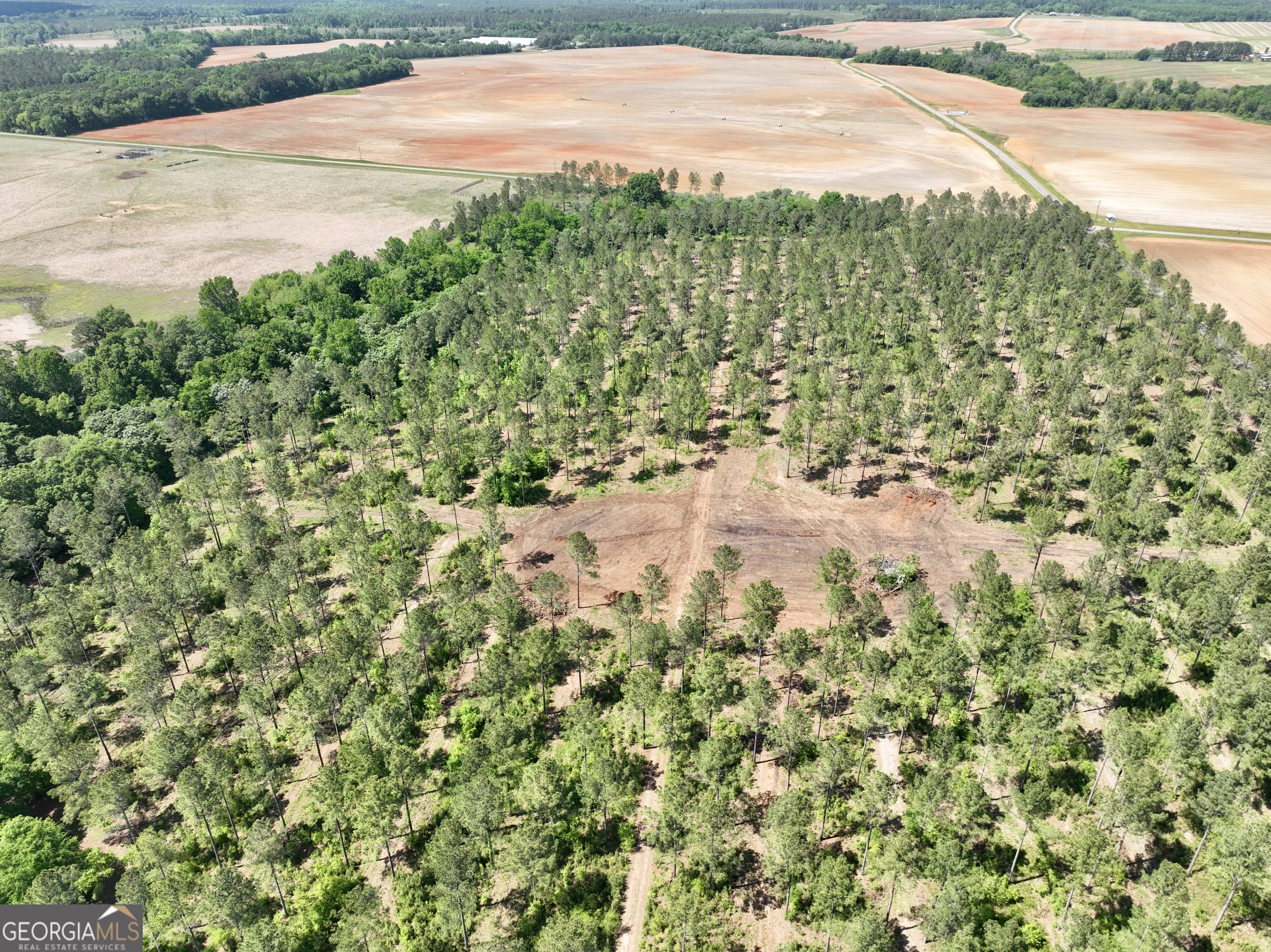 0 Poplar Springs Road Byromville, GA 31007 - Photo 26 of 36 Gallery Image 26