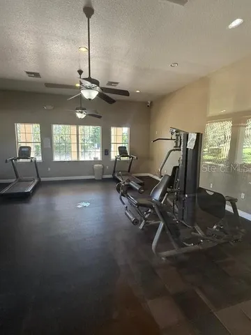 a view of a park with a large trees